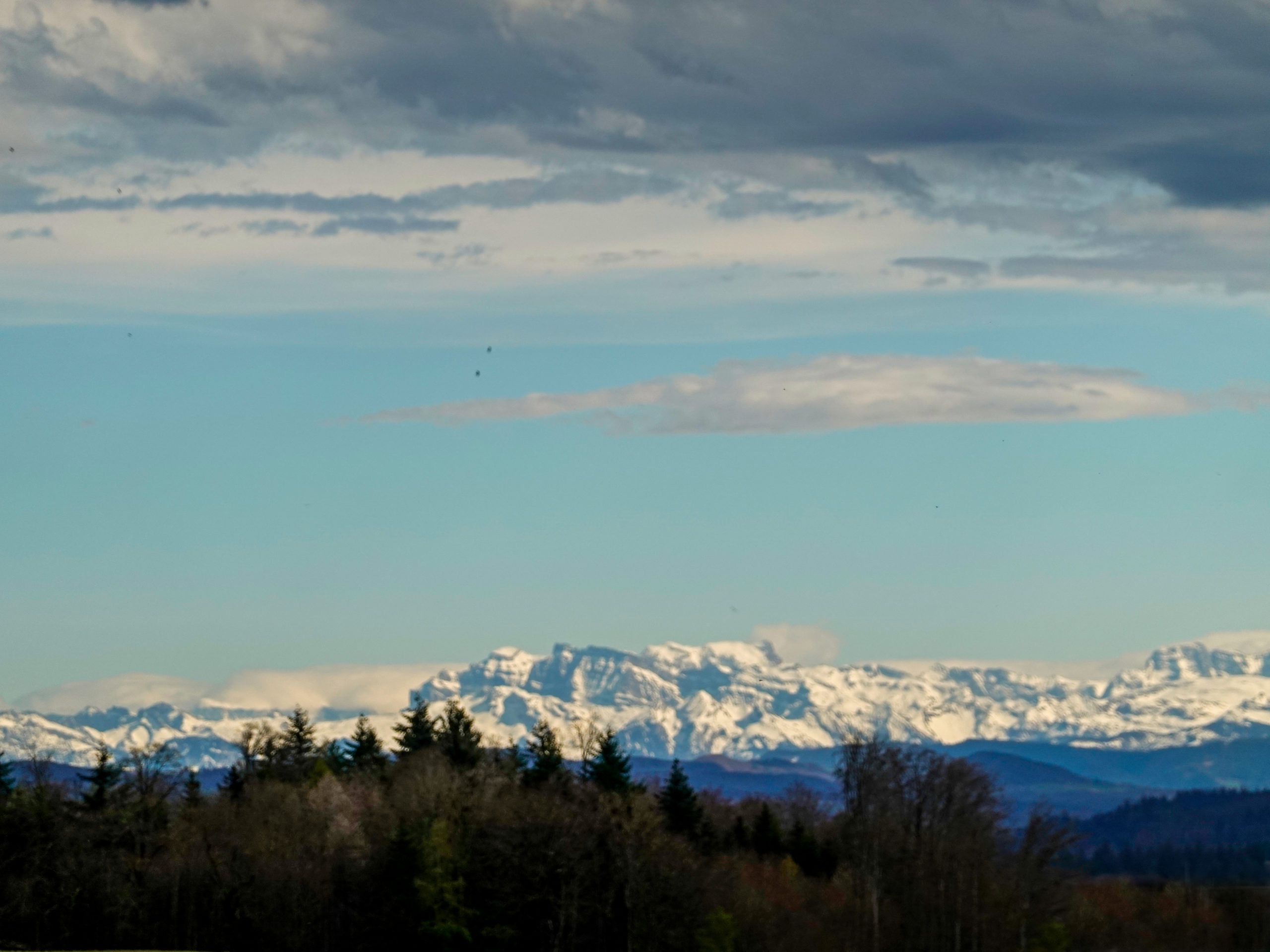 A view
